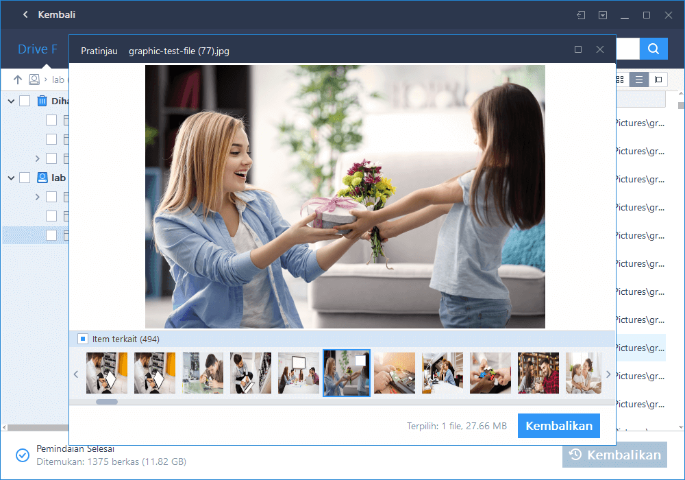 EaseUS hard drive recovery tool with User Guide 5